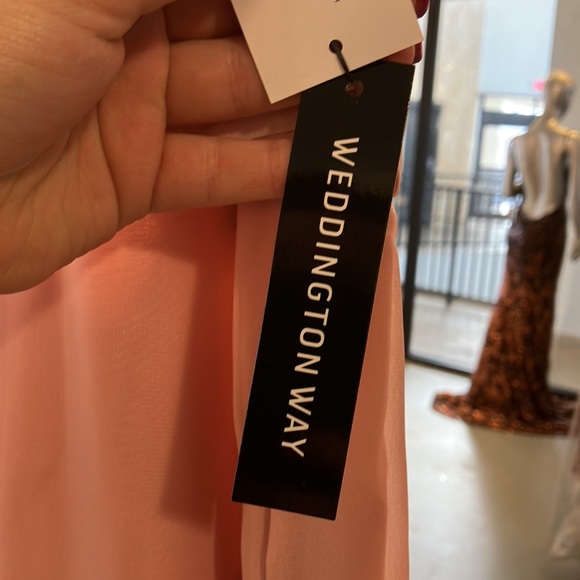 Blush Pink Dress - Picture 7 of 12